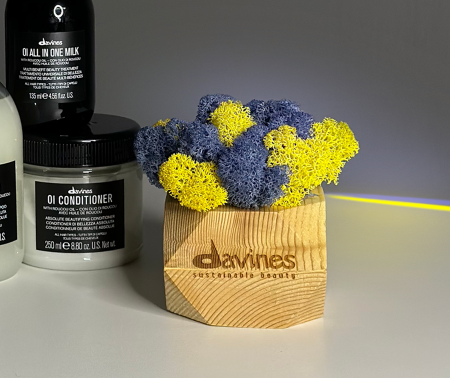 Кашпо Davines в подарок (завершена)