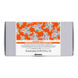 Энергетический сезонный суперактивный лосьон Energizing superactive Davines, 100 мл