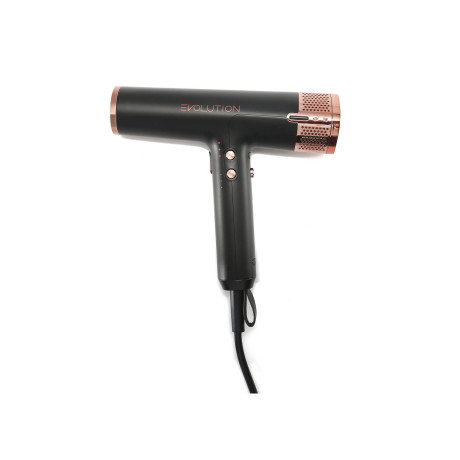 Фен профессиональный для волос EVOLUTION DRYER (07553)