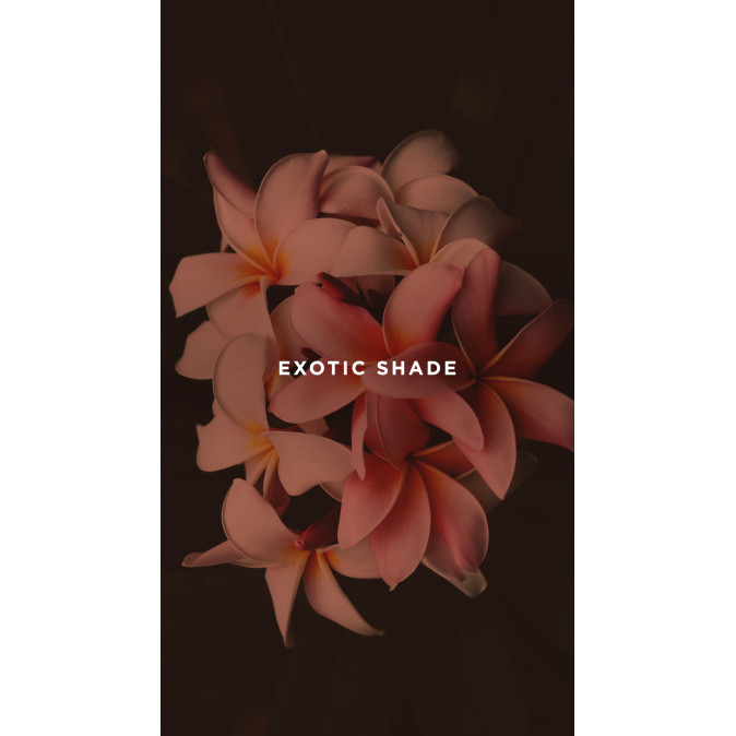 Аромадифузор ROOMOI - EXOTIC SHADE / ЕКЗОТИЧНА ТІНЬ 500ml 