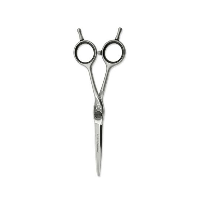 Ножницы для стрижки ARTERO EXAKTA 5.5'' (T48555) от компании ИРИС